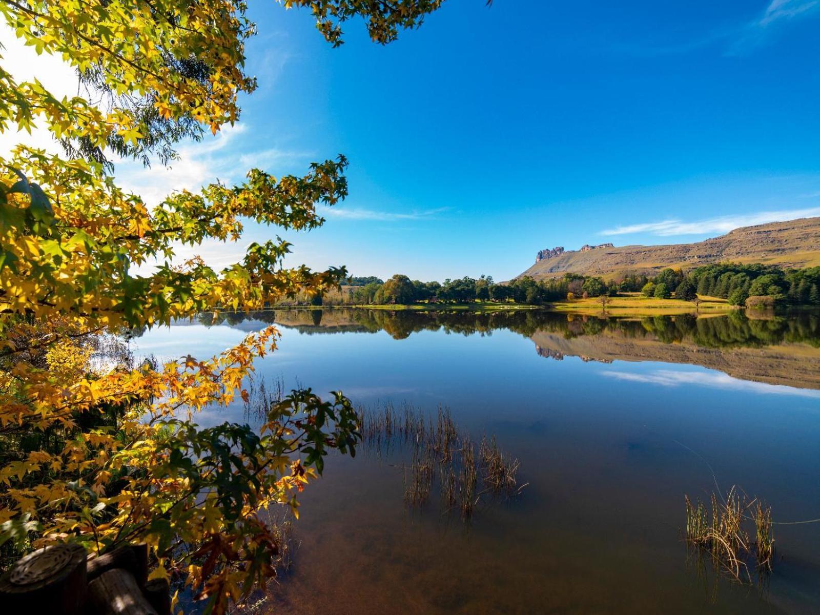 Lake Naverone Holiday Cottages Drakensberg Garden Exterior photo