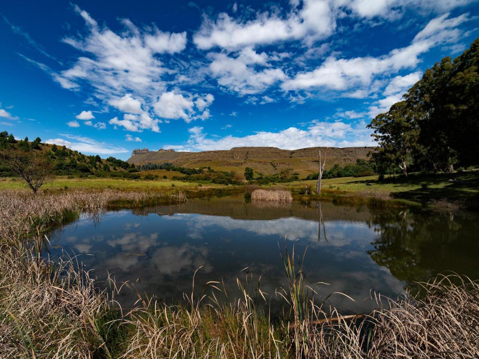 Lake Naverone Holiday Cottages Drakensberg Garden Exterior photo